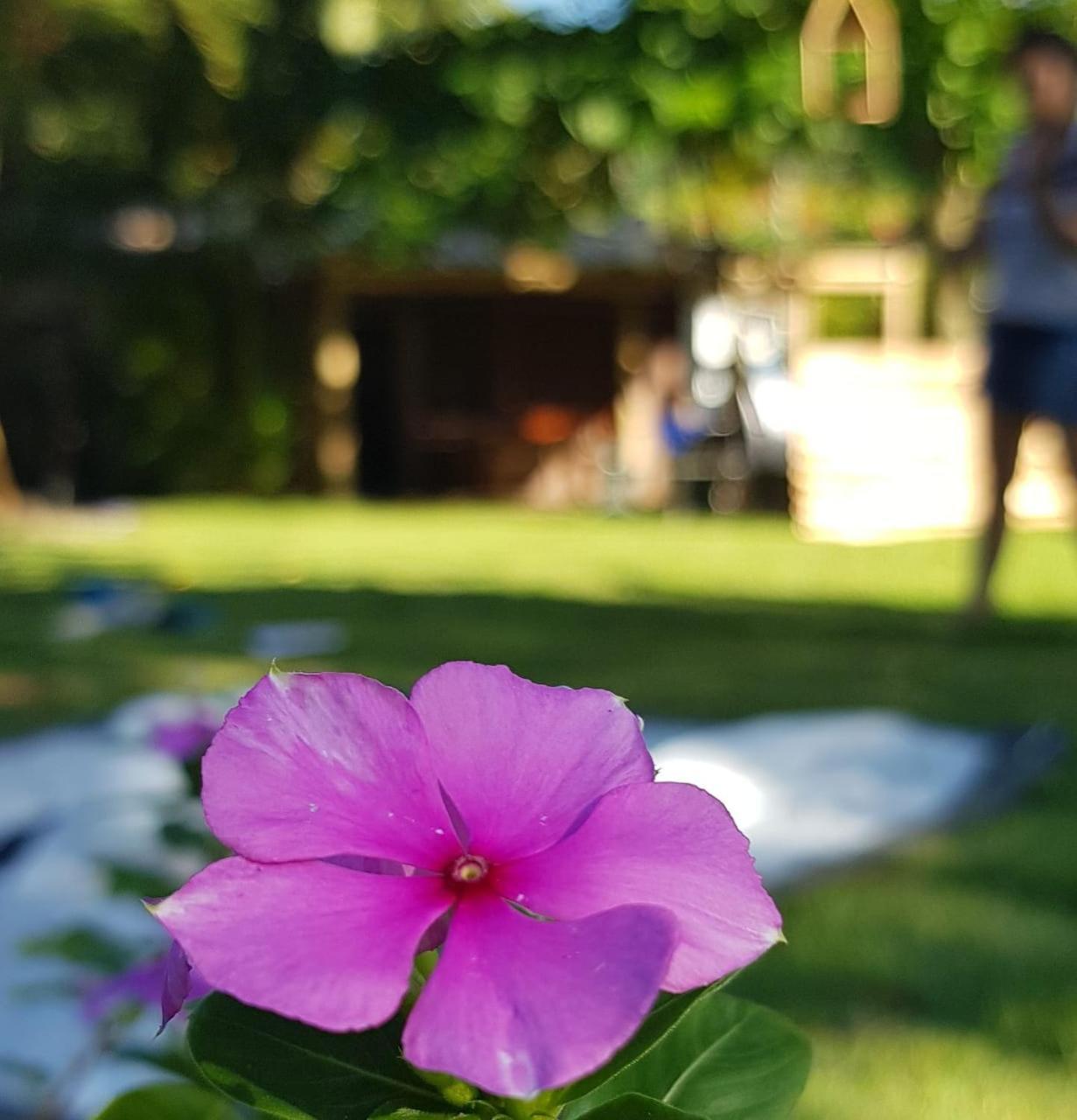 Ilhabela Camping Exteriér fotografie